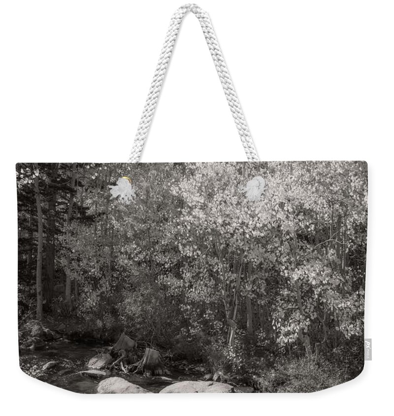 Bishop Creek Weekender Tote Bag featuring the photograph Changing Aspens Along Bishop Creek in Black and White by Lynn Bauer
