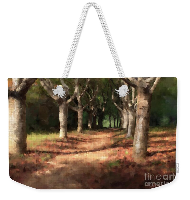 #forest #trees #dwayneglapion #woods #country #fall #season #path #landscape Weekender Tote Bag featuring the digital art Changing of Seasons by Dwayne Glapion