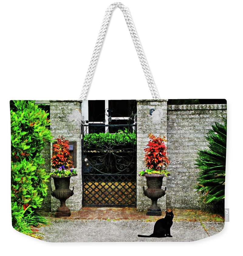 Architectural Weekender Tote Bag featuring the photograph Charleston Cat by Joan Minchak