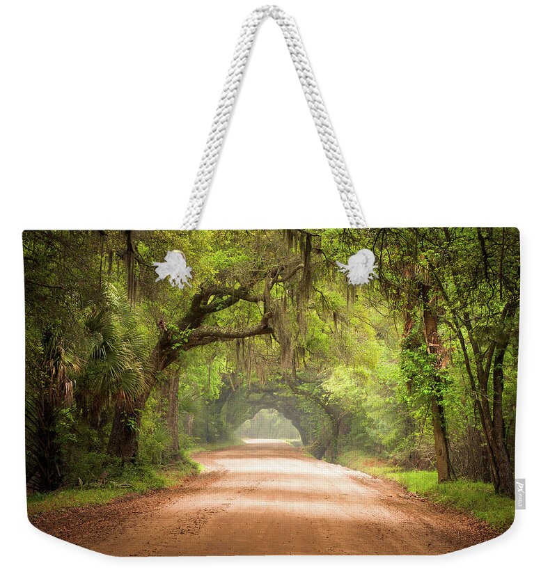 Dirt Road Weekender Tote Bag featuring the photograph Charleston SC Edisto Island Dirt Road - The Deep South by Dave Allen