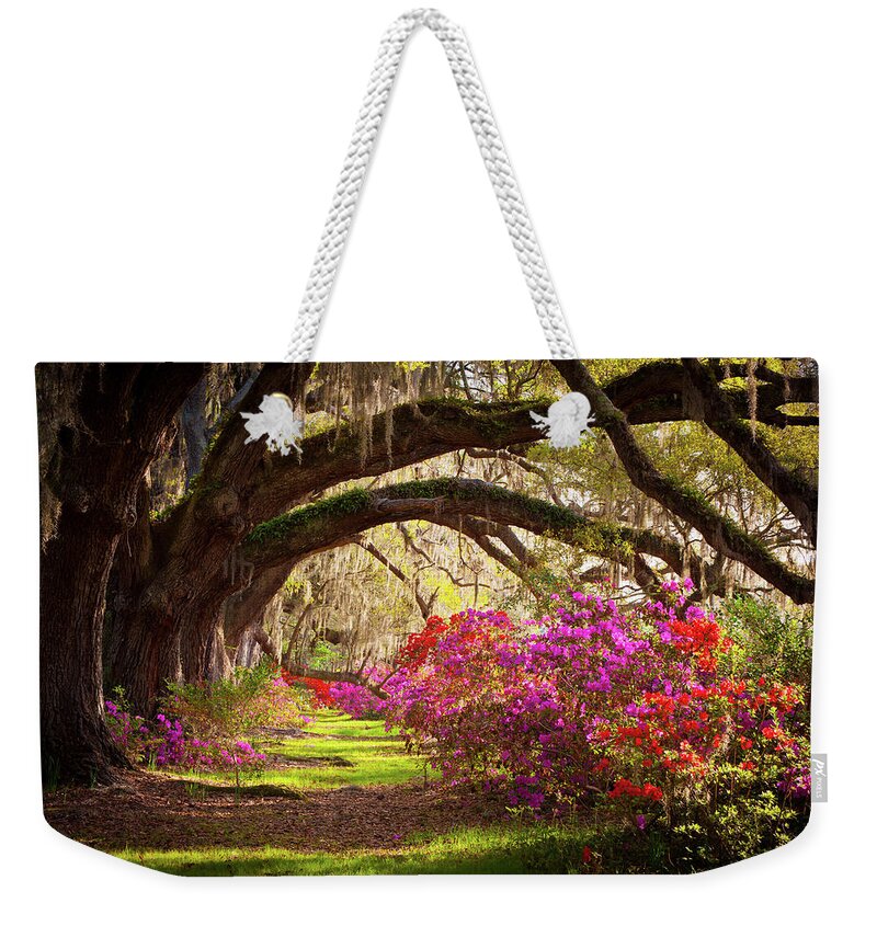 South Weekender Tote Bag featuring the photograph Charleston SC Magnolia Plantation Gardens - Memory Lane by Dave Allen