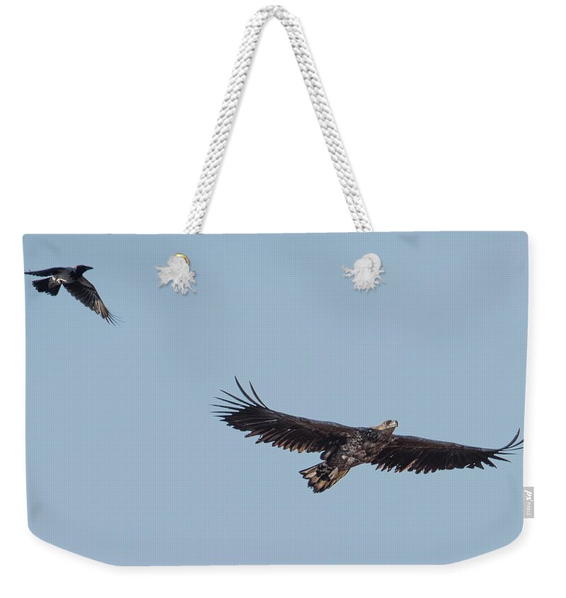 Chasing Weekender Tote Bag featuring the photograph Chasing by Torbjorn Swenelius