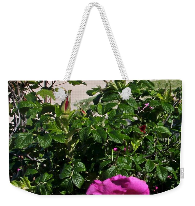 Flower Weekender Tote Bag featuring the photograph Chatham Flower by Jim Gillen