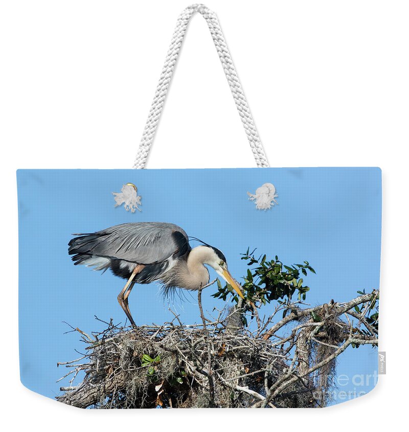 Heron Weekender Tote Bag featuring the photograph Checking The Eggs by Deborah Benoit