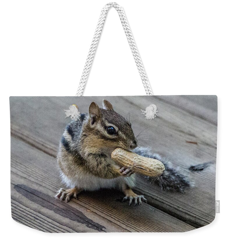 Animals Weekender Tote Bag featuring the photograph Cheeky Chipmunk, Ontario, Canada by Venetia Featherstone-Witty