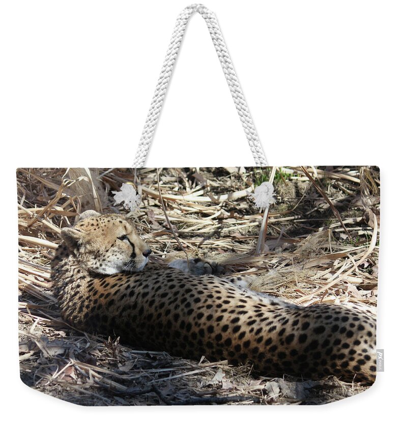 Maryland Weekender Tote Bag featuring the photograph Cheetah Awakened by Ronald Reid