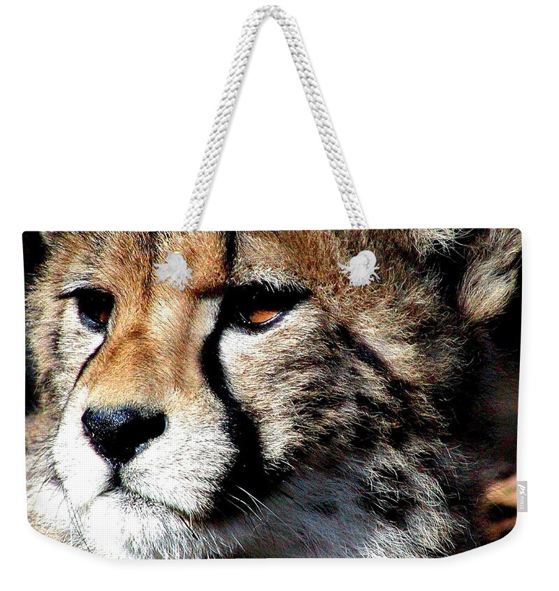 Cheetah Weekender Tote Bag featuring the photograph Cheetah by Ellen Henneke