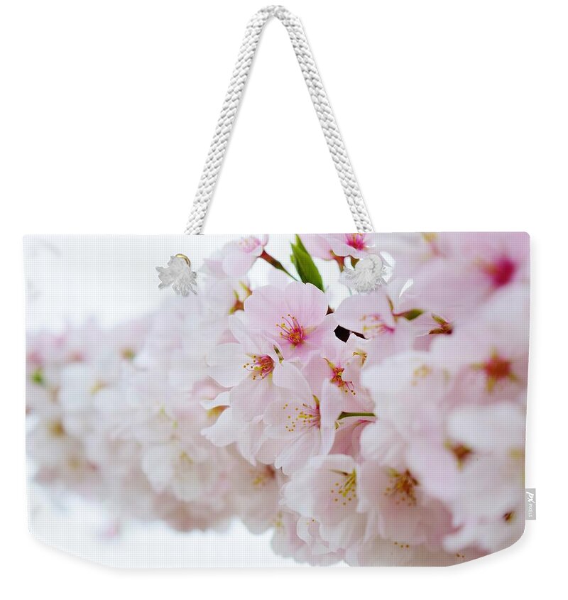 Cherry Blossom Weekender Tote Bag featuring the photograph Cherry Blossom Focus by Nicole Lloyd