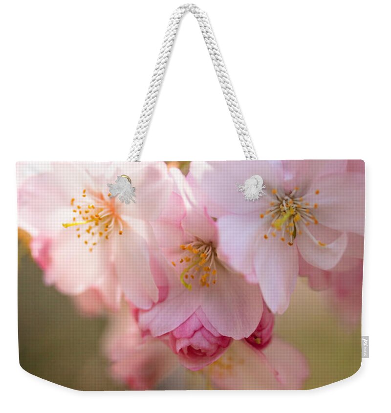 Illinois Weekender Tote Bag featuring the photograph Cherry Blossoms in Spring by Joni Eskridge