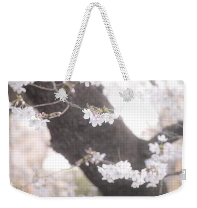 Cherryblossoms Weekender Tote Bag featuring the photograph Cherry blossoms#5 by Yasuhiro Fukui