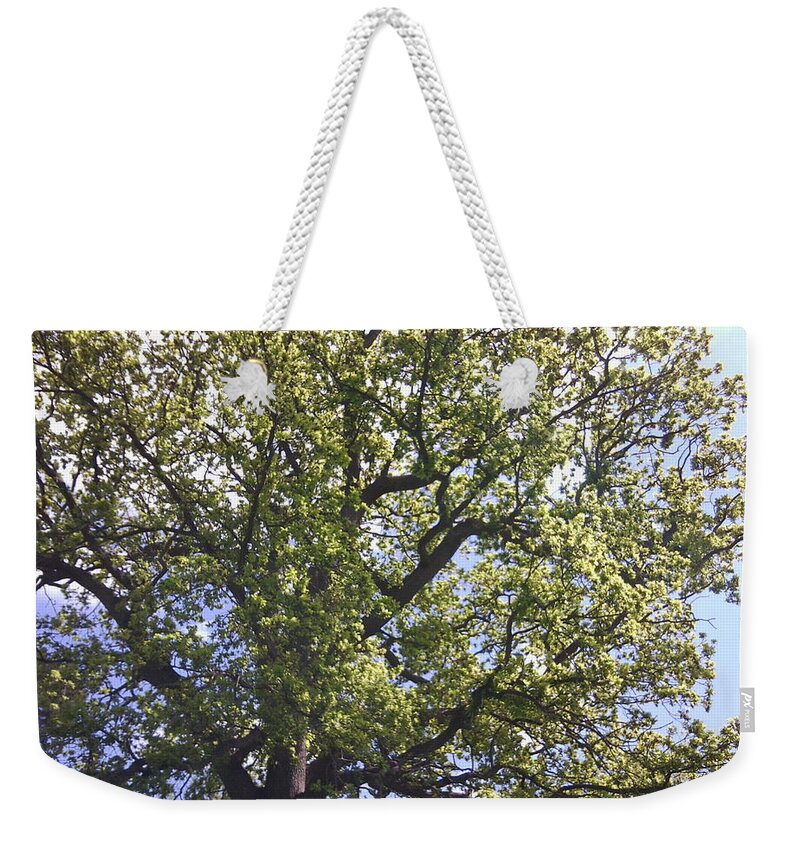 Chestnut Weekender Tote Bag featuring the photograph Chestnut 1102 by Julia Woodman