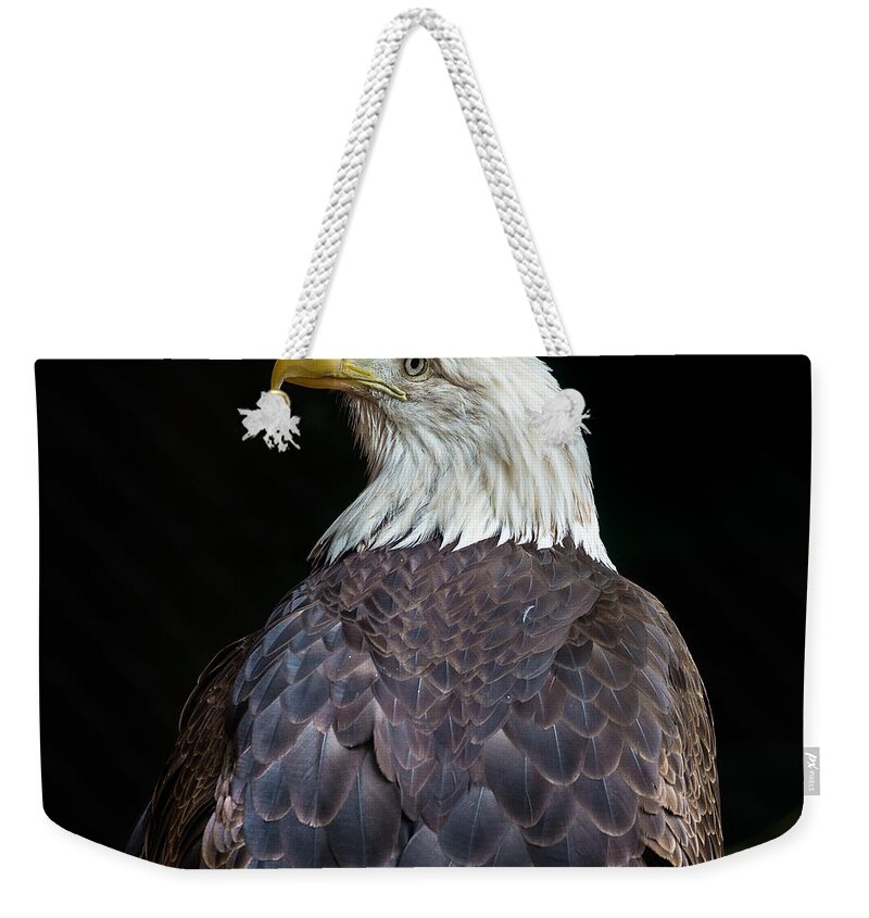 Bald Eagle Weekender Tote Bag featuring the photograph Cheyenne the Eagle by Greg Nyquist