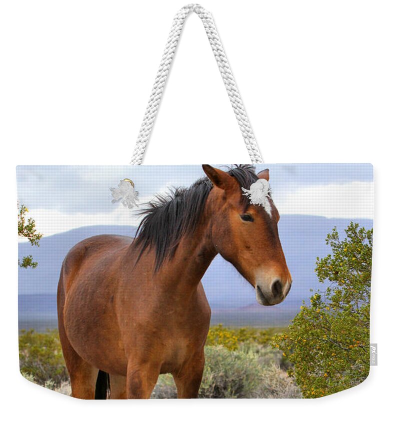 Mustang Weekender Tote Bag featuring the photograph Chicago Valley Wild Mustang by Adam Jewell