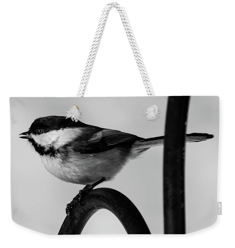 Bird Weekender Tote Bag featuring the photograph Chickadee by Darryl Hendricks