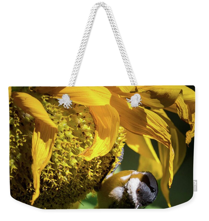 Summer Flower Weekender Tote Bag featuring the photograph Chickadee Sunflower by Bill Wakeley
