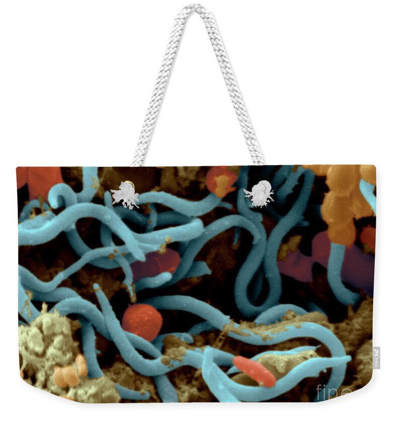 Hens Weekender Tote Bag featuring the photograph Chicken Excrement by Scimat