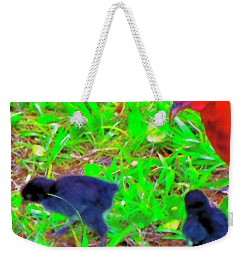 Chick Weekender Tote Bag featuring the photograph Chicks First Worm by Gina O'Brien