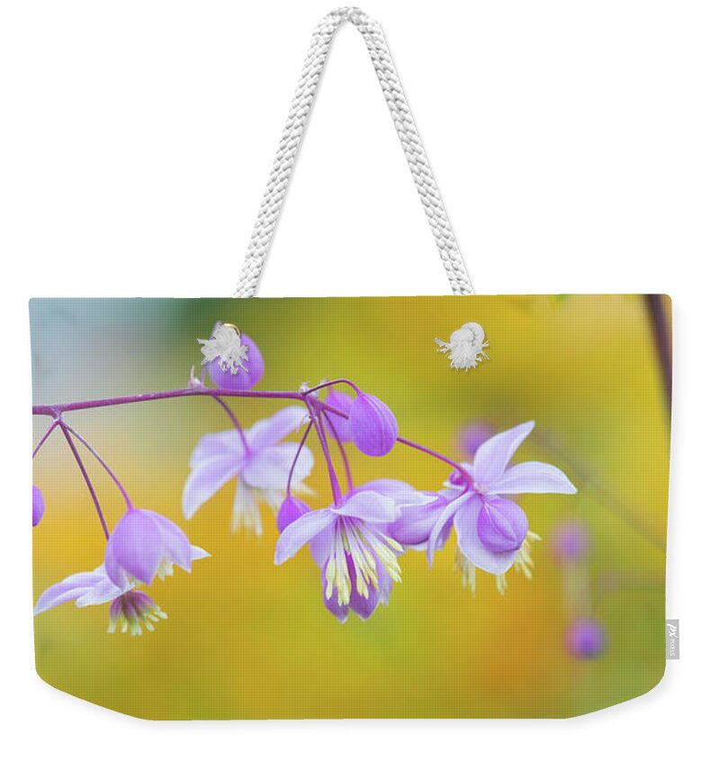 Chinese Meadow Rue Weekender Tote Bag featuring the photograph Chinese Meadow Rue by Tim Gainey