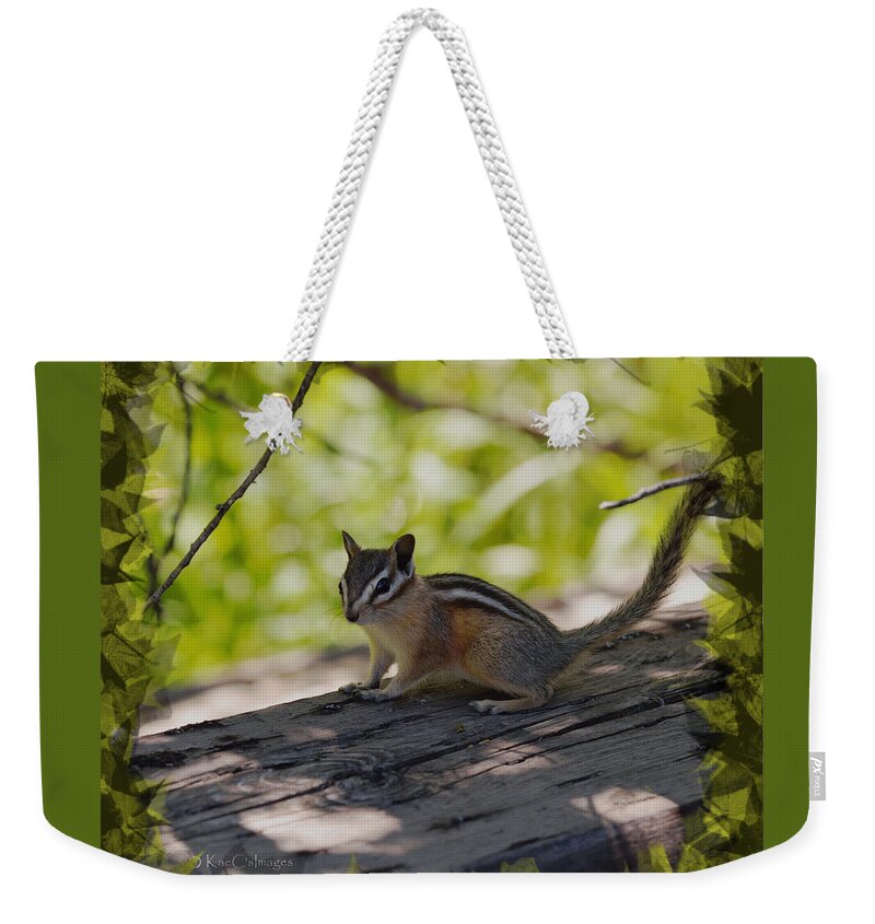 Chipmunk Weekender Tote Bag featuring the mixed media Chipmunk in the Shade by Kae Cheatham