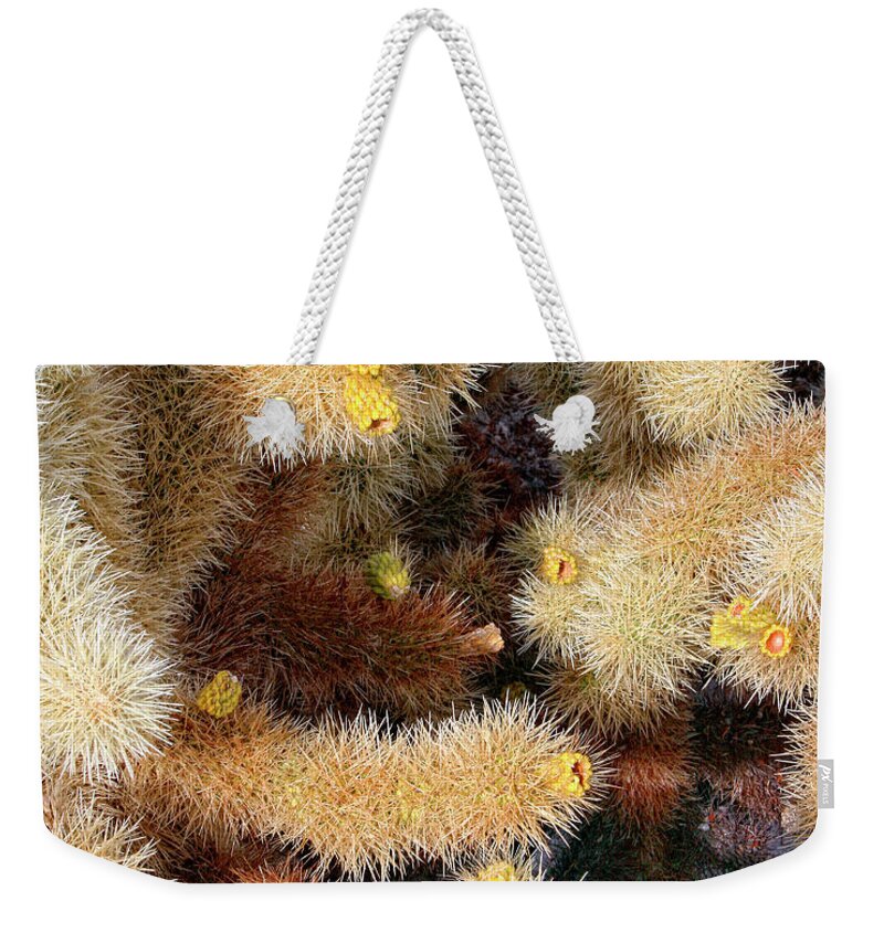 Joshua Tree Weekender Tote Bag featuring the photograph CHOLLA HEAT Joshua Tree National Park CA by William Dey