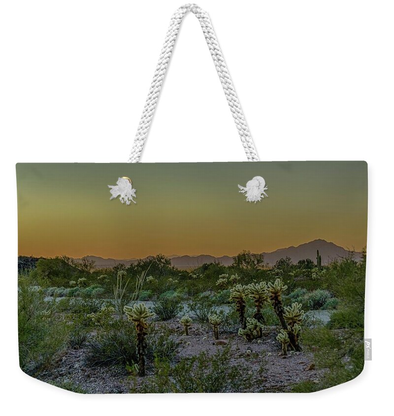 Palm Canyon Weekender Tote Bag featuring the photograph Cholla desert sunset by Gaelyn Olmsted