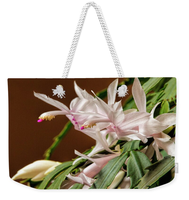 Flower Weekender Tote Bag featuring the photograph Christmas Cactus by Dave Bosse