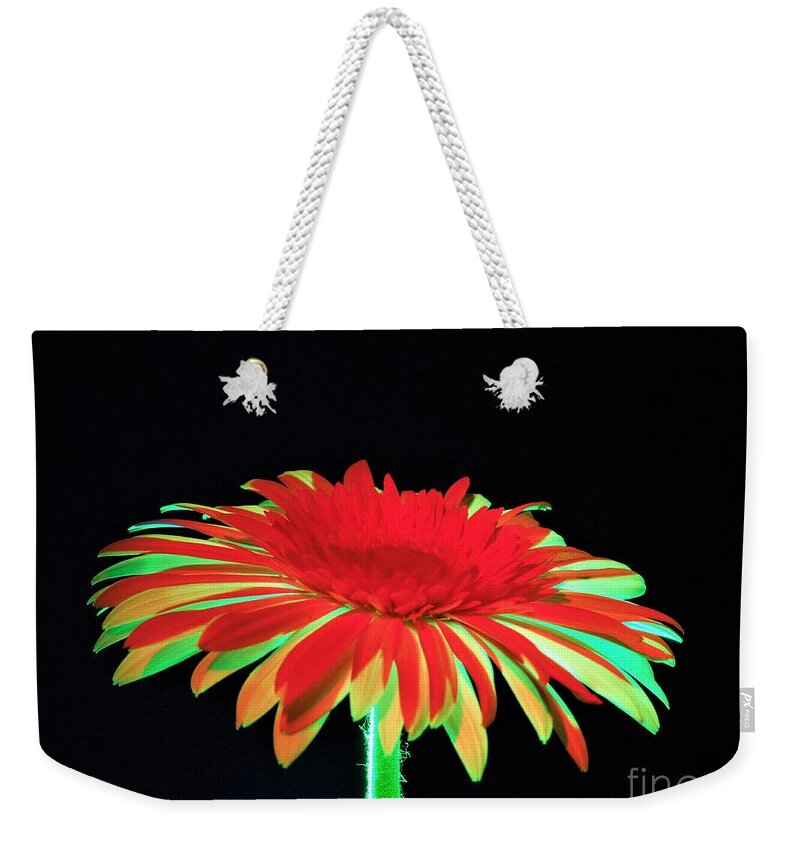 Daisy Weekender Tote Bag featuring the photograph Christmas Daisy by Chad and Stacey Hall