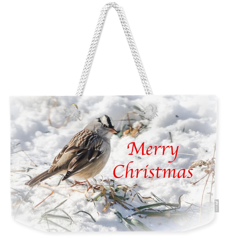 White-crowned Sparrow Weekender Tote Bag featuring the photograph Christmas Sparrow by Holden The Moment