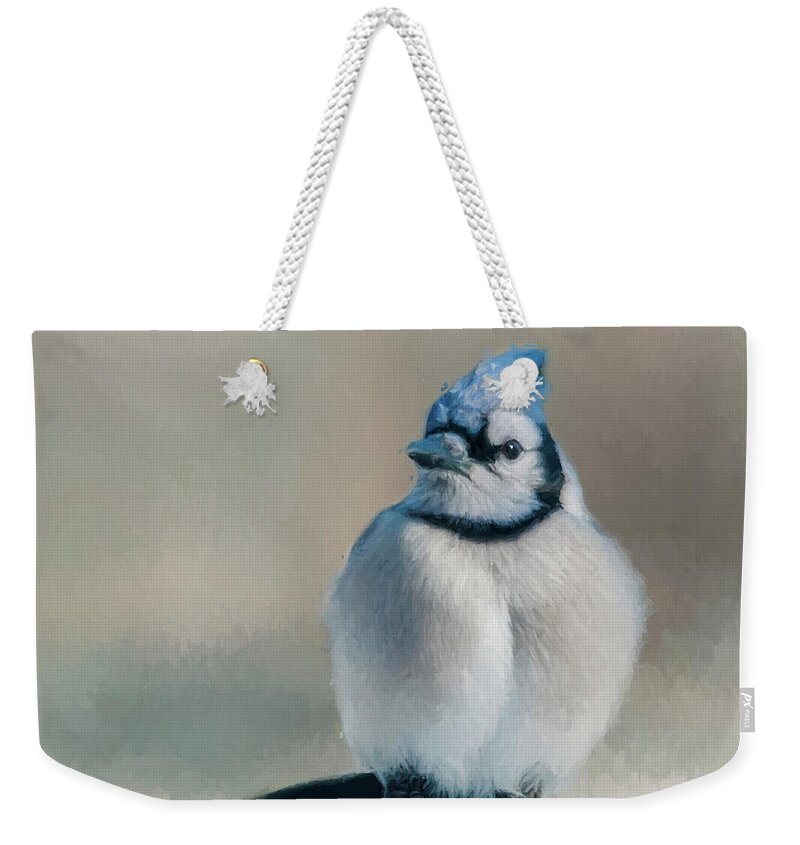 Blue Jay Weekender Tote Bag featuring the photograph Chubby Jay by Cathy Kovarik