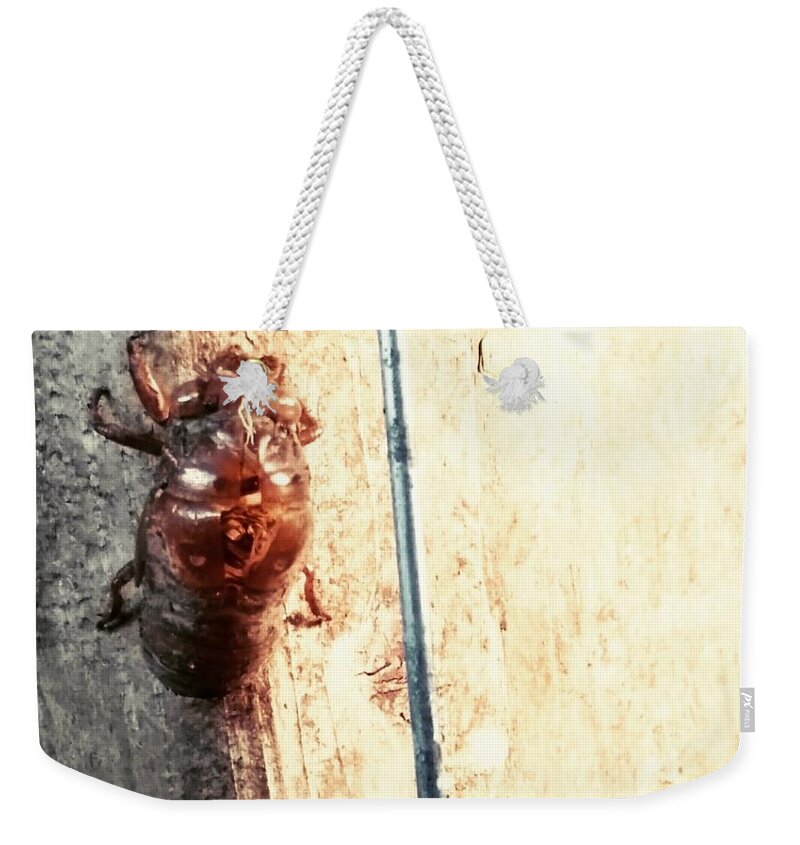 Cicada Weekender Tote Bag featuring the photograph Cicada shell by Kari Myres