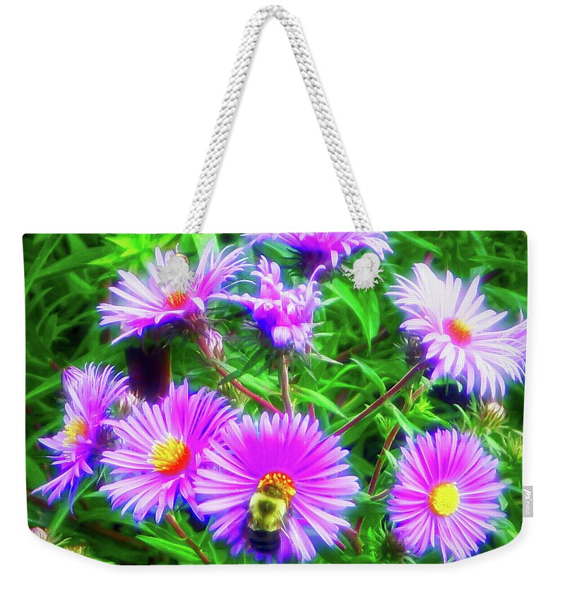 Purple Daisy Weekender Tote Bag featuring the photograph City Flare Pollinating by Aimee L Maher ALM GALLERY