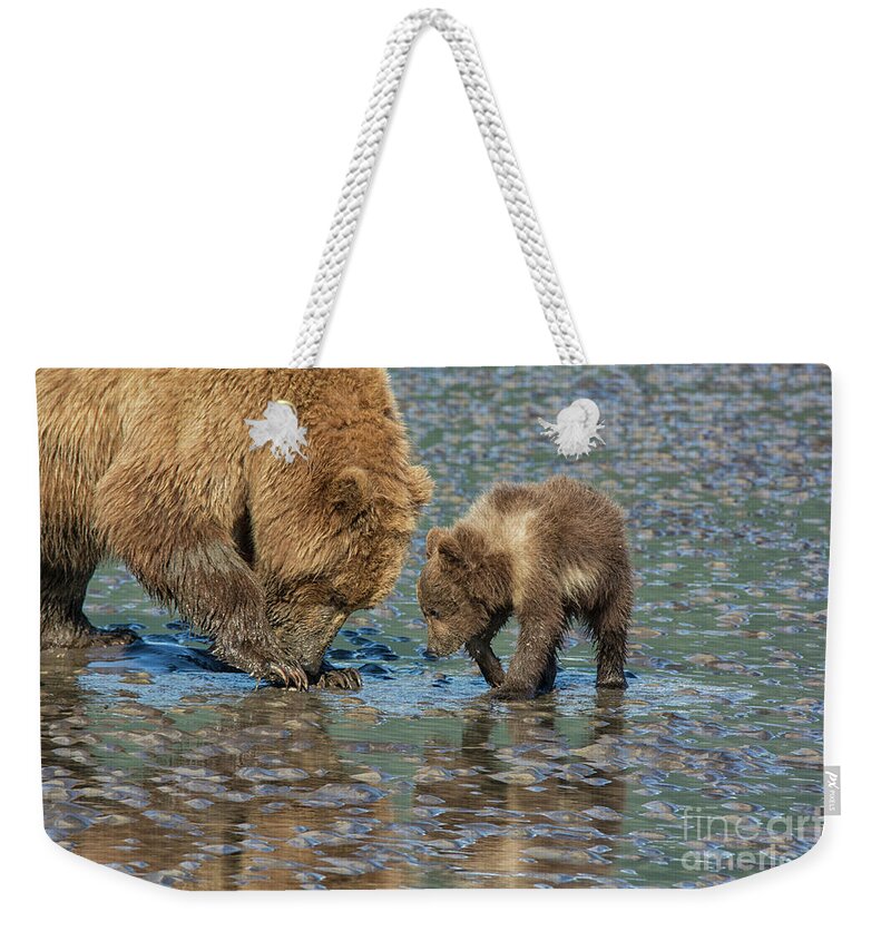 Grizzly Bears Weekender Tote Bag featuring the photograph Clamming lesson by Paulette Sinclair