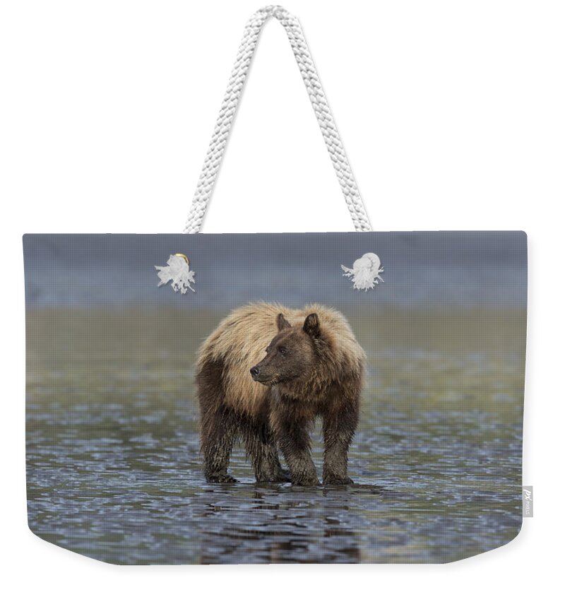 Bears Weekender Tote Bag featuring the photograph Clamming the Day Away by Sandra Bronstein