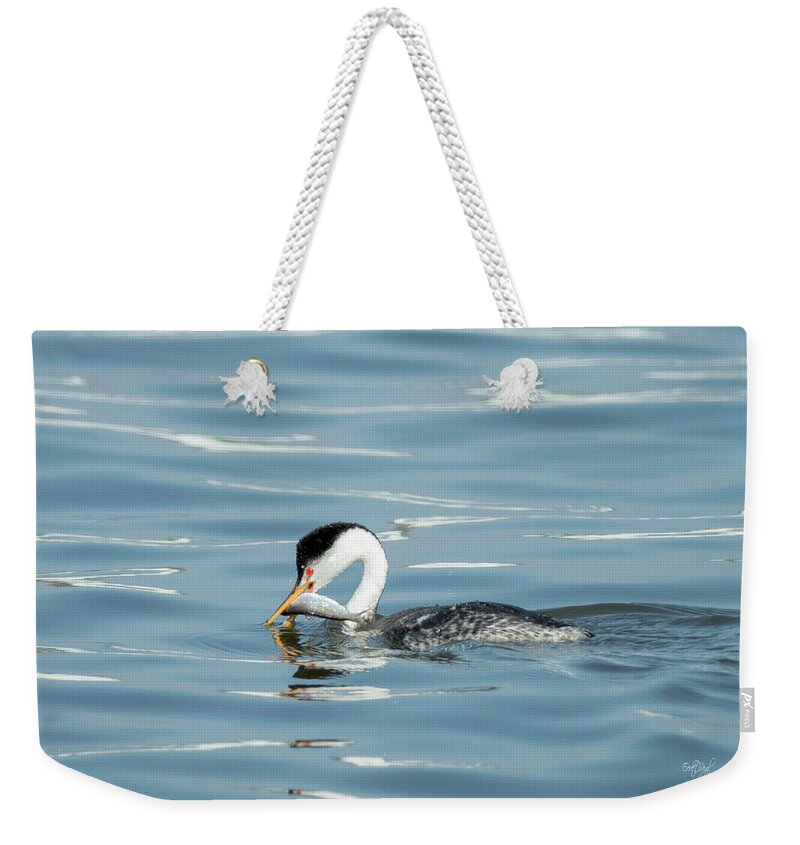 Clarks Grebe Weekender Tote Bag featuring the photograph Clarks Grebe by Everet Regal