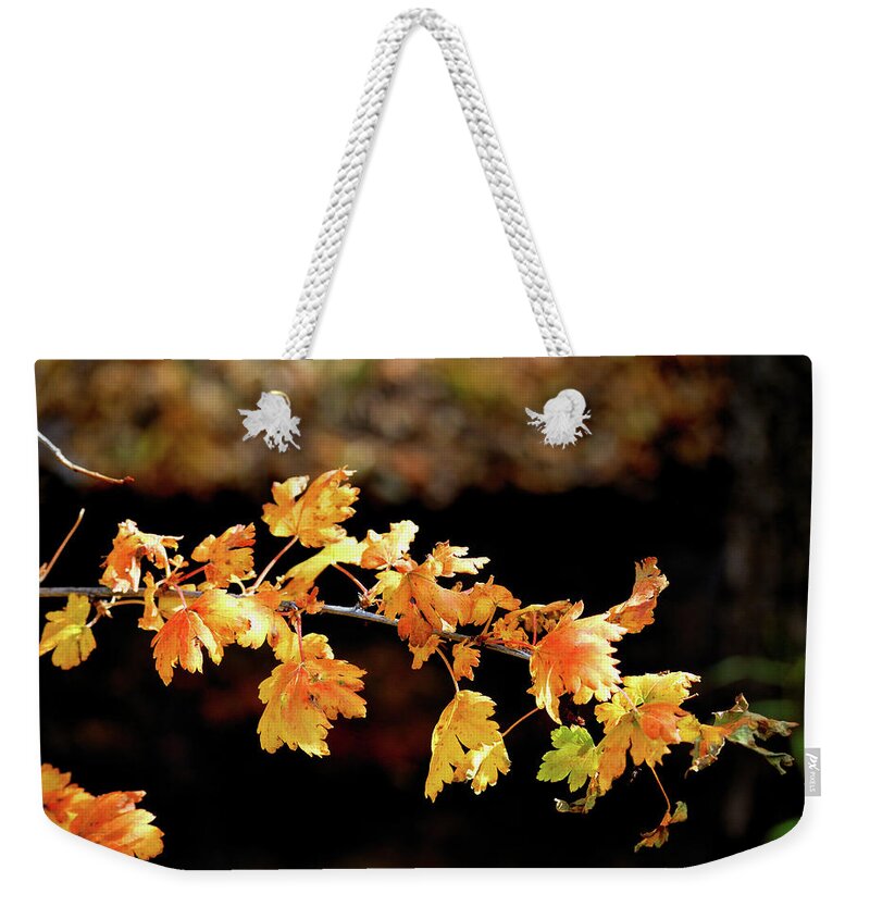 Autumn Weekender Tote Bag featuring the photograph Classic Colors by Ron Cline