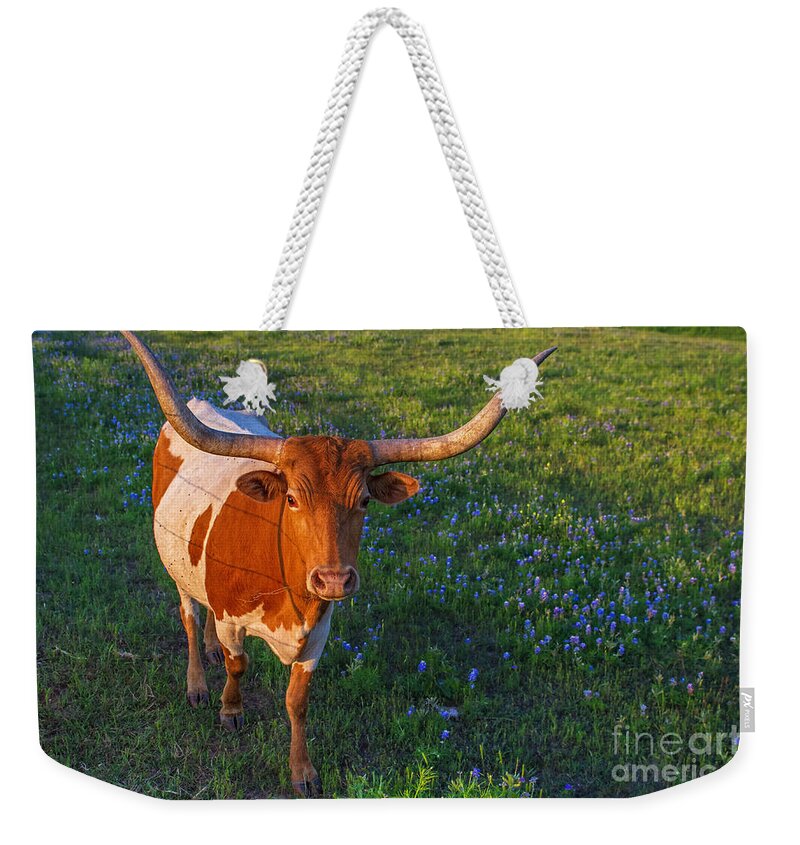 Classic Springtime In Texas Weekender Tote Bag featuring the photograph Classic Spring Scene in Texas by Gary Holmes