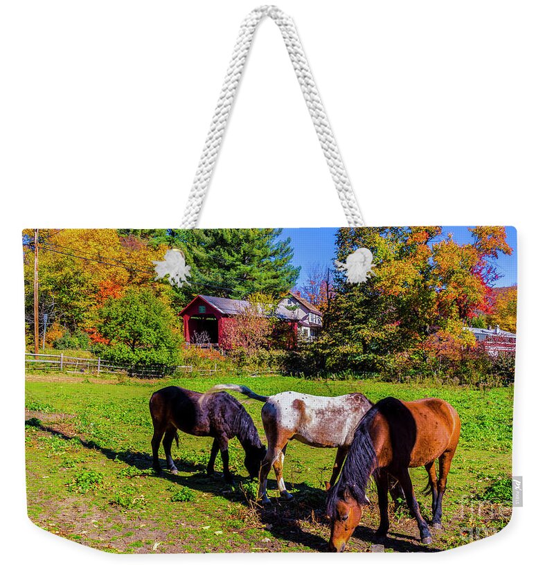 Fall Foliage Weekender Tote Bag featuring the photograph Classic Vermont Scene by Scenic Vermont Photography