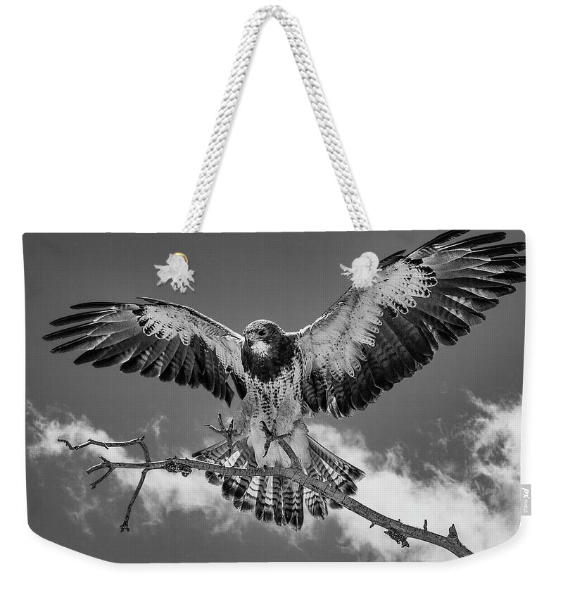 Bird Weekender Tote Bag featuring the photograph Cleared For Landing 2 by Bruce Bonnett