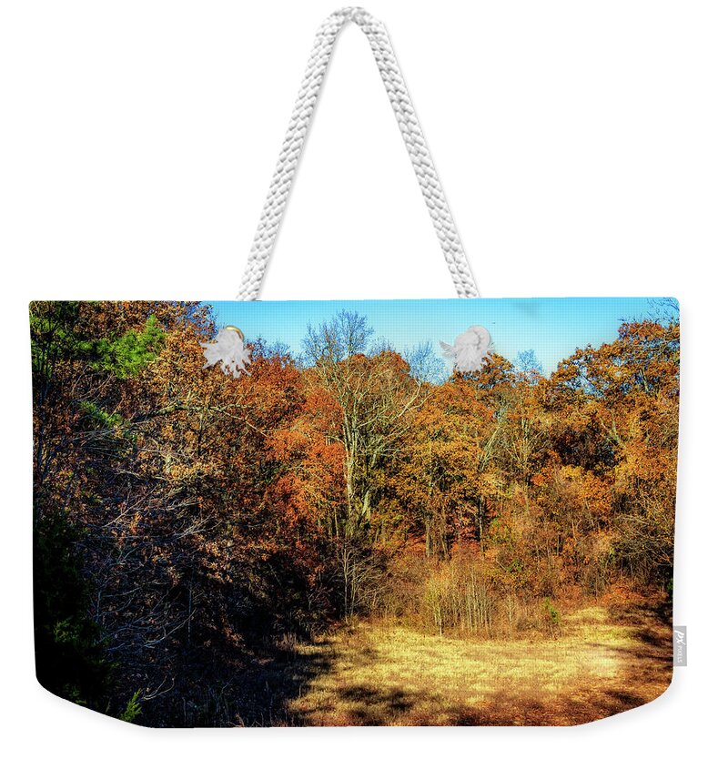 Clearing Weekender Tote Bag featuring the photograph Clearing in the Woods by Barry Jones