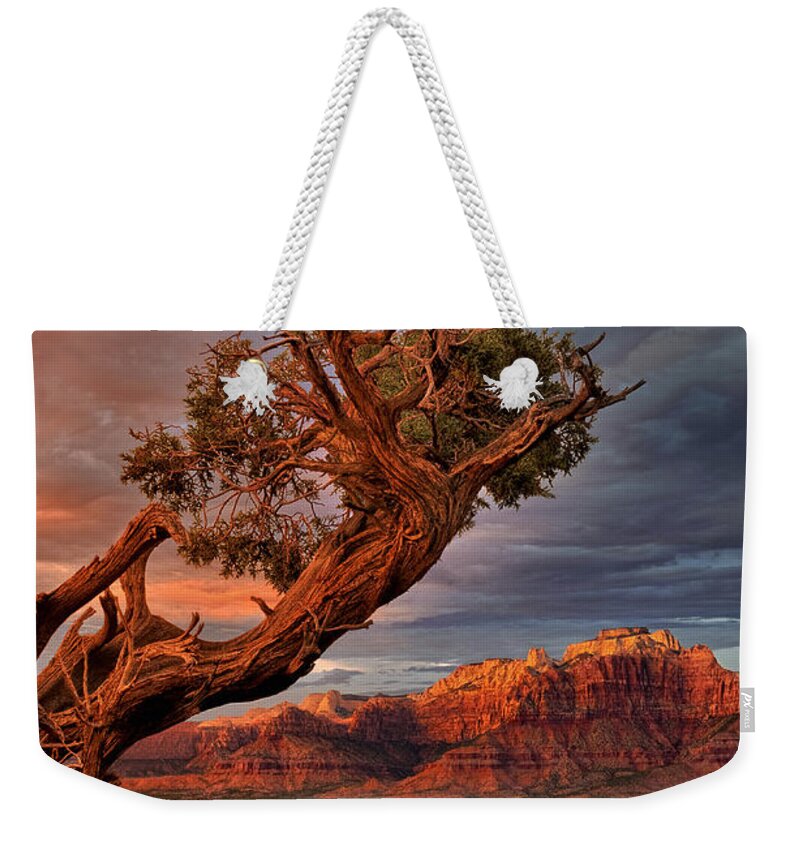 Dave Welling Weekender Tote Bag featuring the photograph Clearing Storm And West Temple South Of Zion National Park by Dave Welling