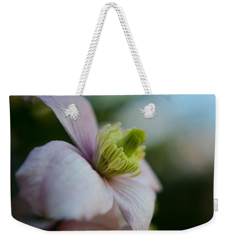 Flower Weekender Tote Bag featuring the photograph Clematis flower face of Spring by Spikey Mouse Photography