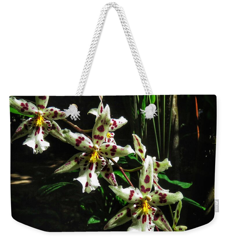 Botanical Gardens Weekender Tote Bag featuring the photograph Clinging Orchids II by Kathi Isserman