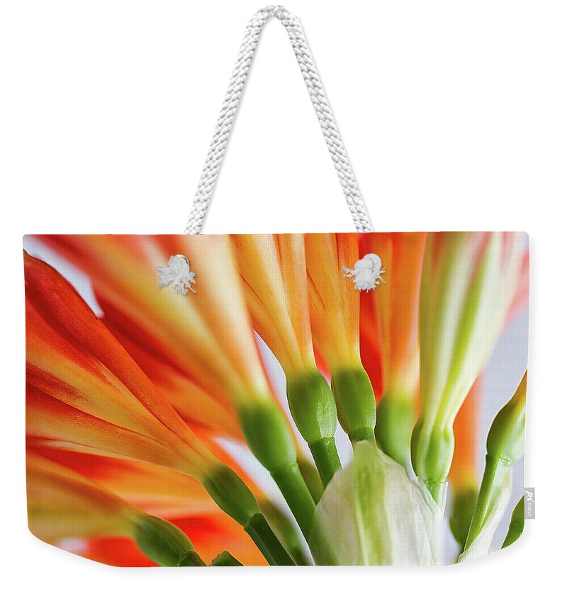 Orange Weekender Tote Bag featuring the photograph Clivia Miniata 5 by Shirley Mitchell