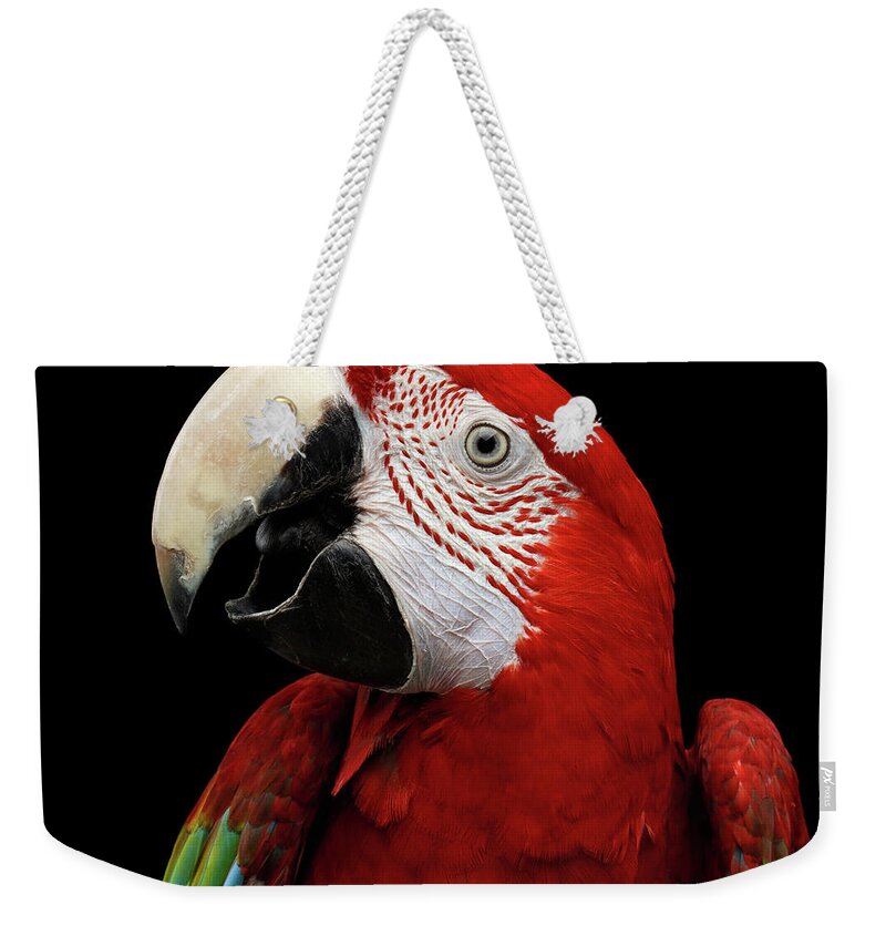 Macaw Weekender Tote Bag featuring the photograph Green-winged macaw by Sergey Taran