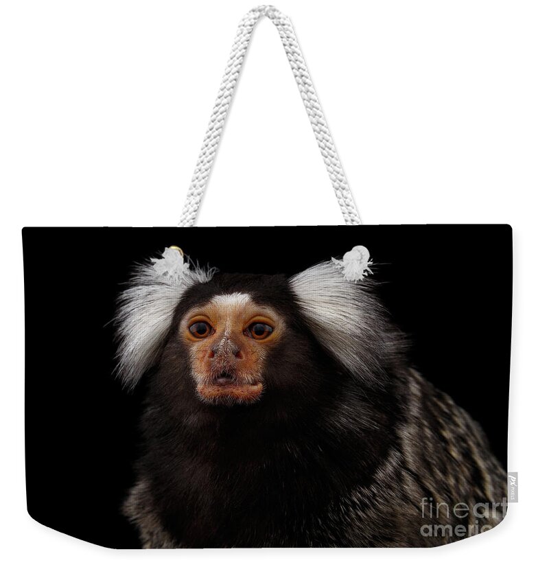 Marmoset Weekender Tote Bag featuring the photograph portrait of Common Marmoset by Sergey Taran