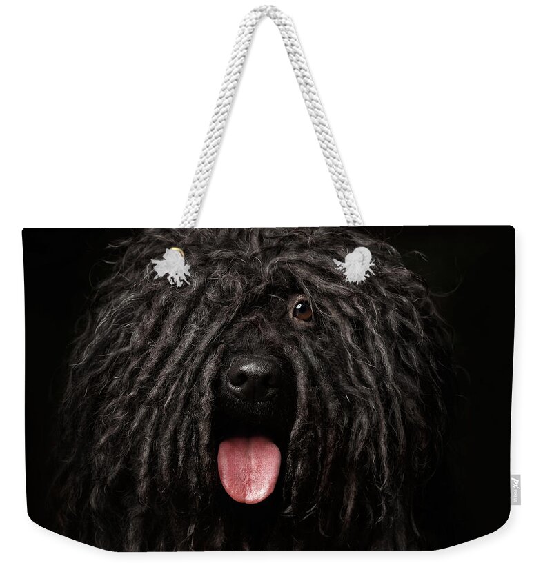 Dog Weekender Tote Bag featuring the photograph Close up Portrait of Puli Dog isolated on Black by Sergey Taran