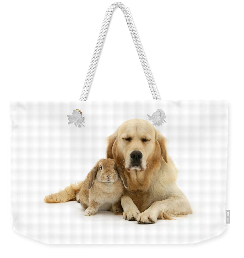 Golden Retriever Weekender Tote Bag featuring the photograph Close your eyes and Dream with Me by Warren Photographic
