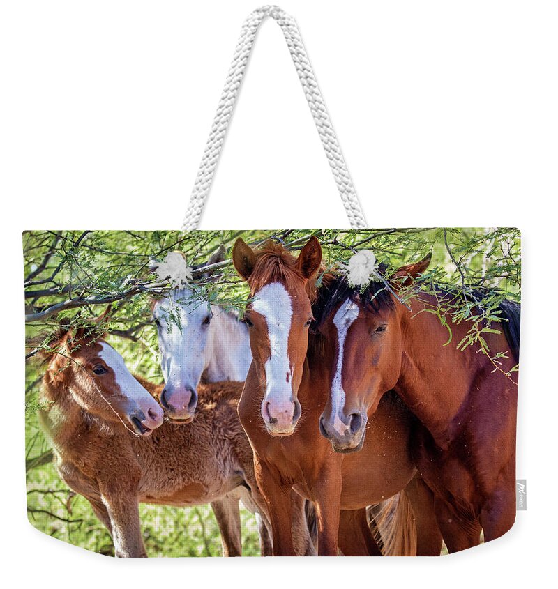 Mesa Weekender Tote Bag featuring the photograph Closeup of Herd of Four Wild Horses by Good Focused