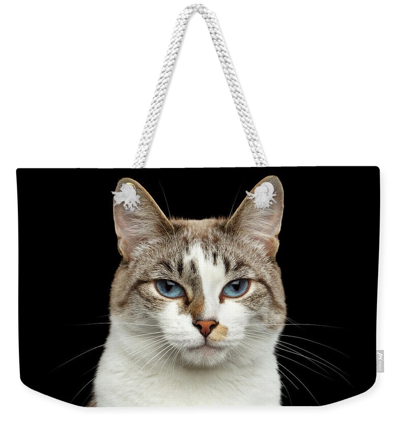 Cat Weekender Tote Bag featuring the photograph Closeup Portrait of face White Cat, Blue Eyes Isolated Black Background by Sergey Taran
