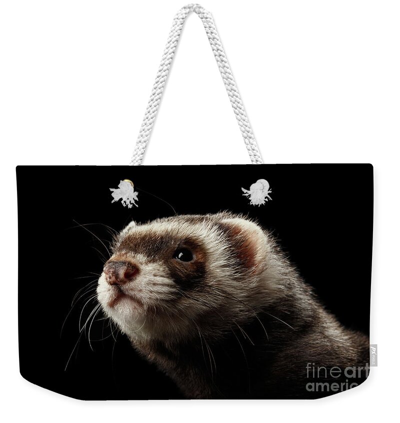 Ferret Weekender Tote Bag featuring the photograph Ferret by Sergey Taran